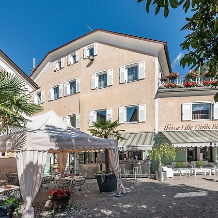 Hotel Weisse Lilie - B&B 里约·迪·普斯特里亚 客房 照片
