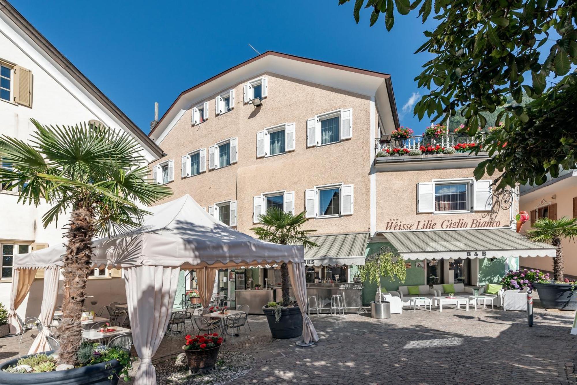 Hotel Weisse Lilie - B&B 里约·迪·普斯特里亚 客房 照片